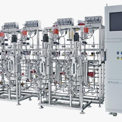 Hệ thống lên men đa bình bằng thép không gỉ
