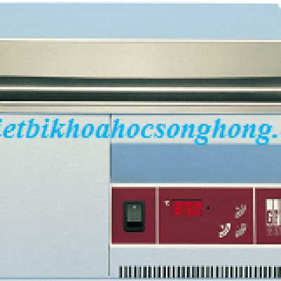 WATER BATH GFL 1004, 21 LÍT